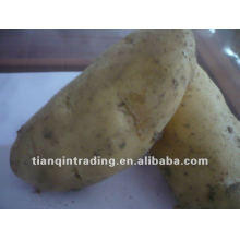 hochwertige Kartoffel zu verkaufen